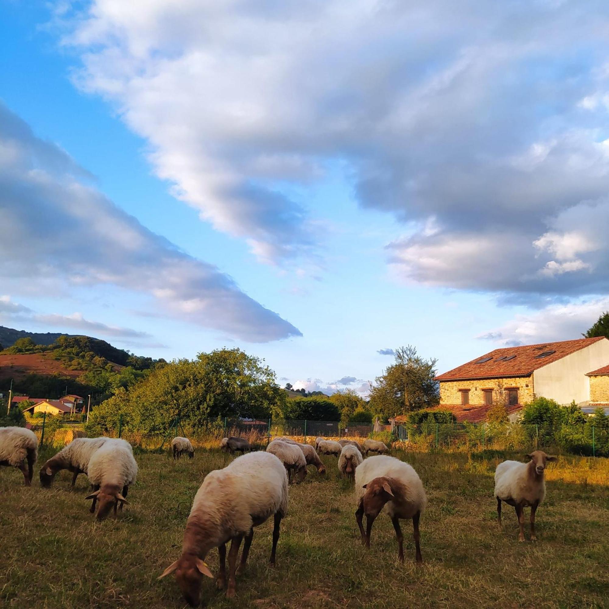 Posada La Corralada Pámanes Екстериор снимка